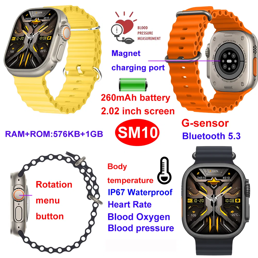 SM10 Detail 7