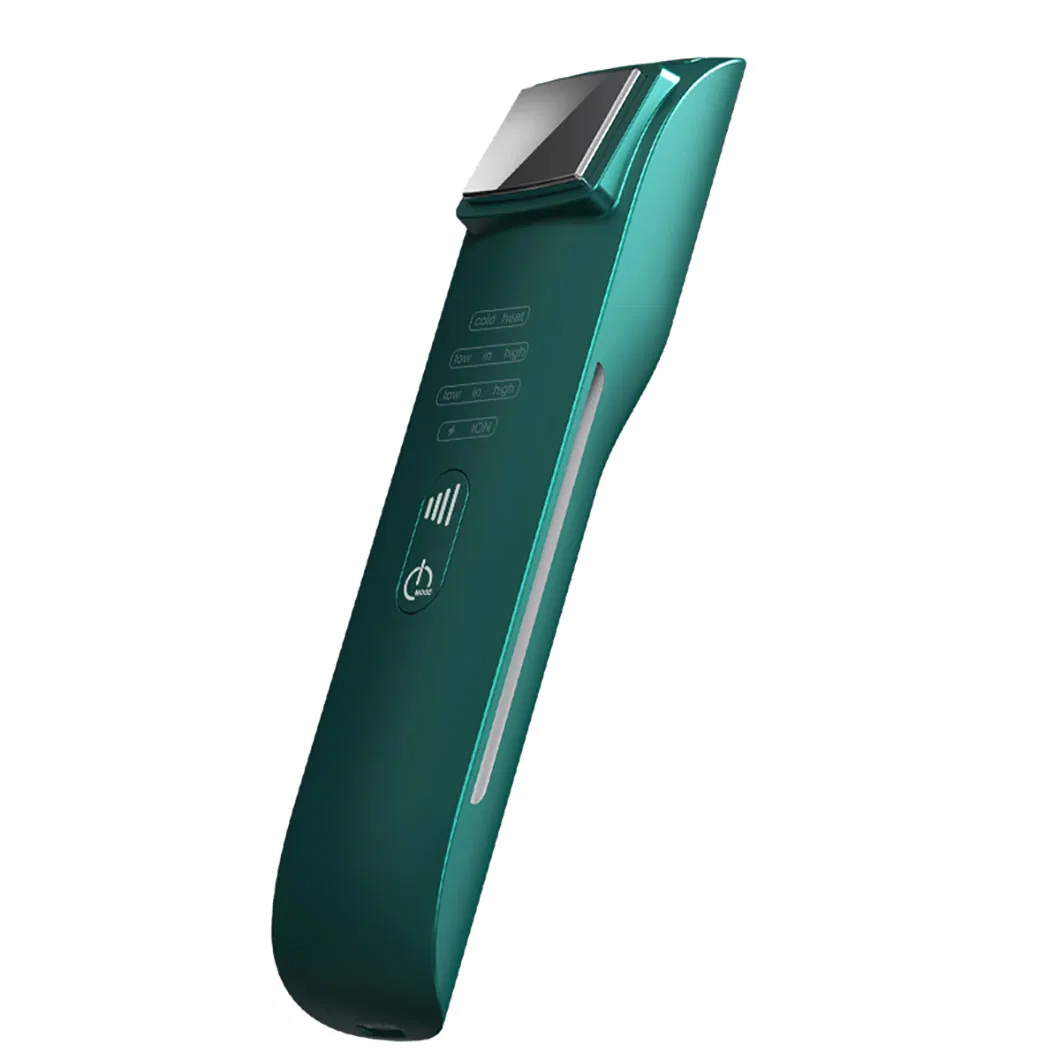 Customized Household EMS Microcurrent Vibration Ion Hot and Cold Anti-Wrinkles Beauty Device
