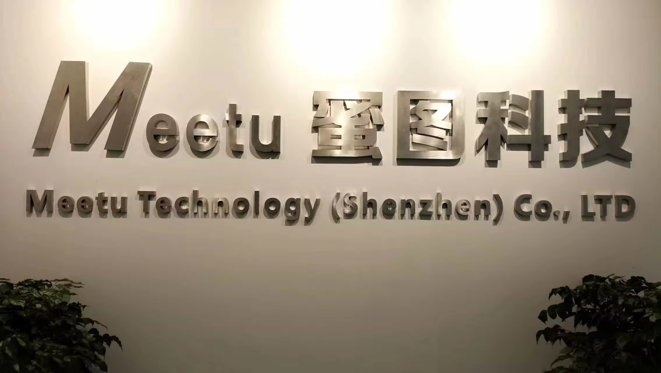Company Introduction Overview