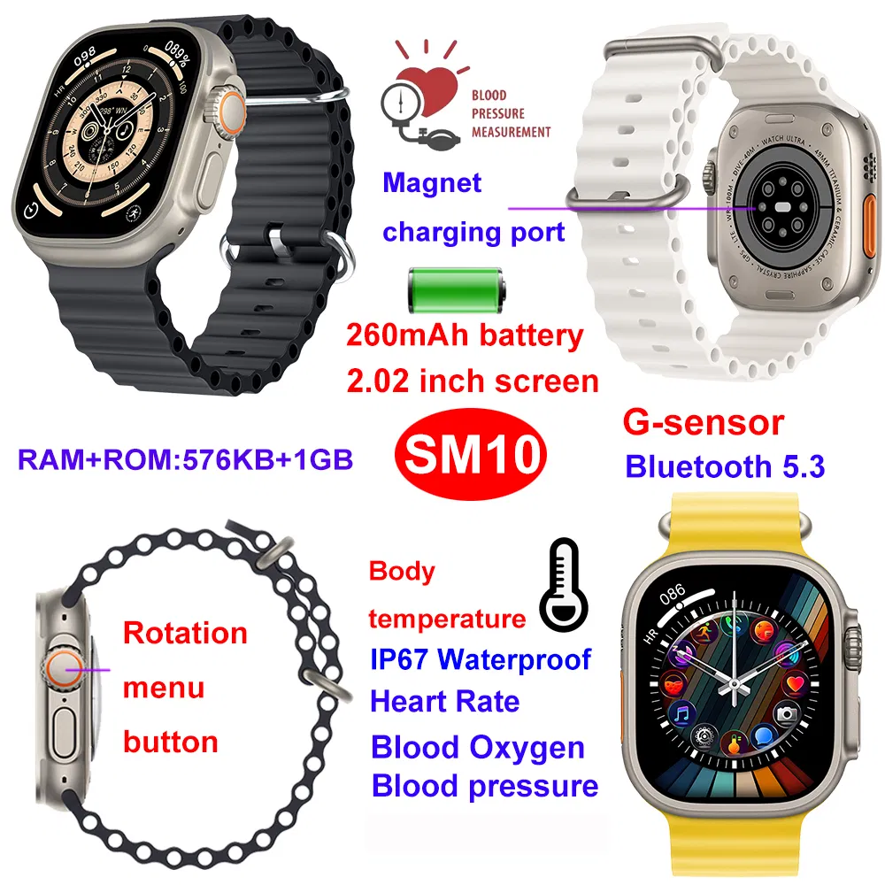 SM10 Detail 8