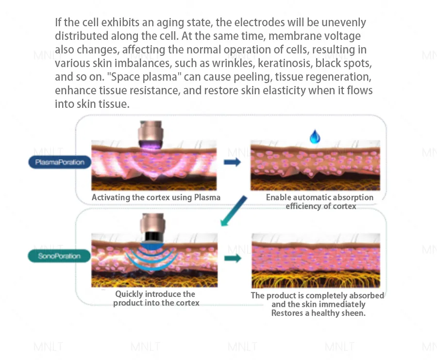 Facial Skin Care Details