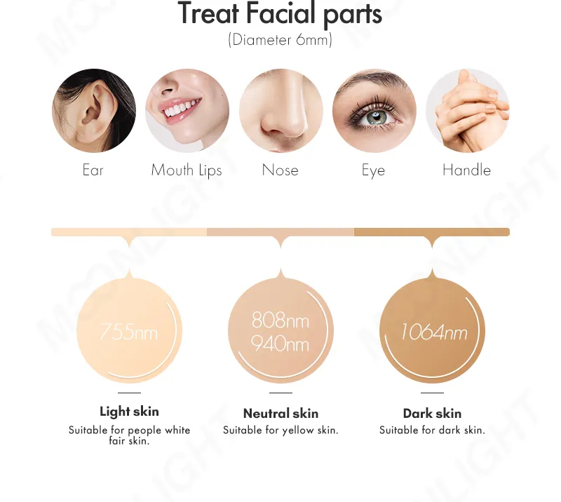 Skin type chart