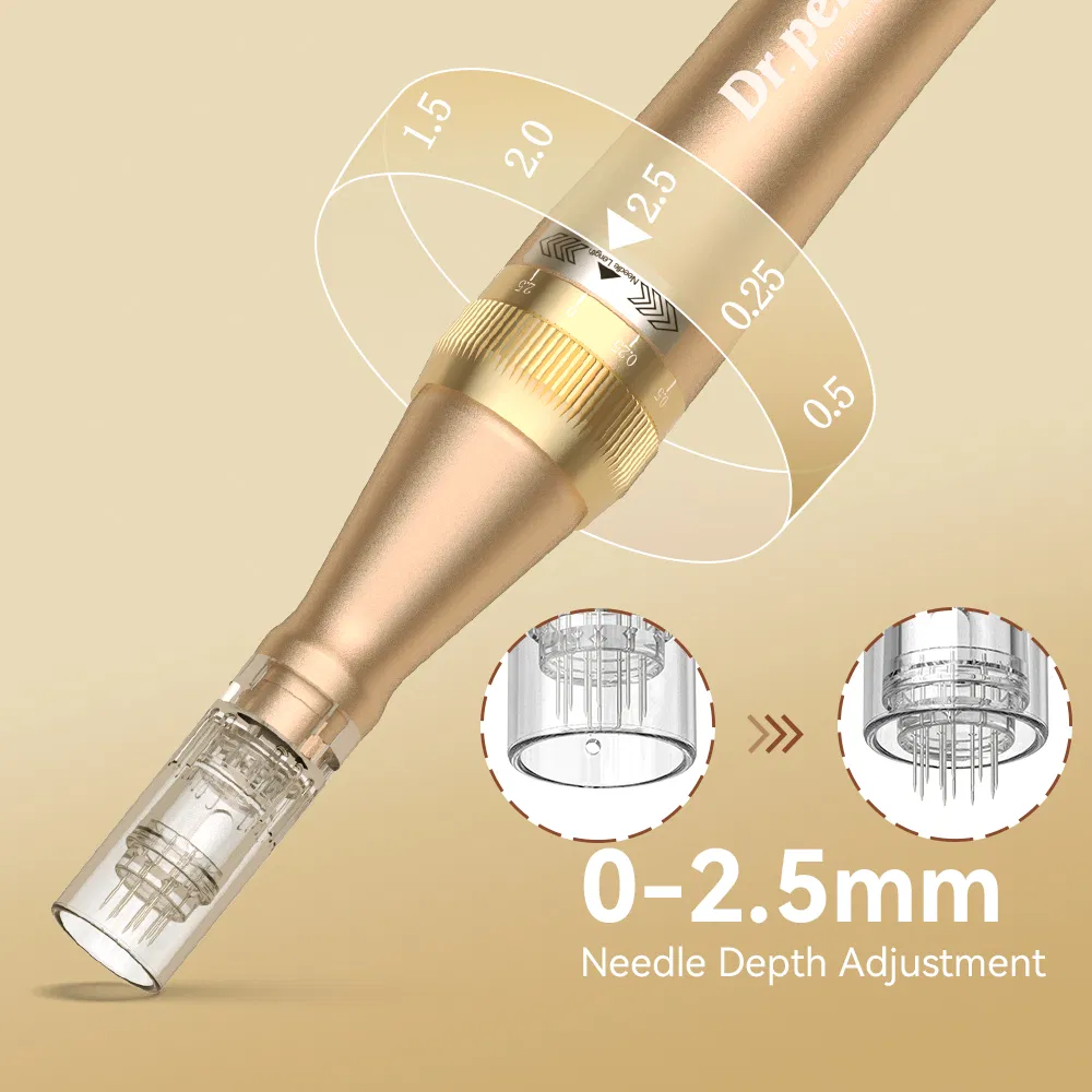 Advanced Micro Needle Anti-Aging Beauty Device for Professionals