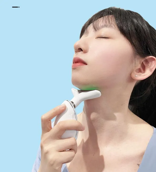 Beauty Device Usage Diagram