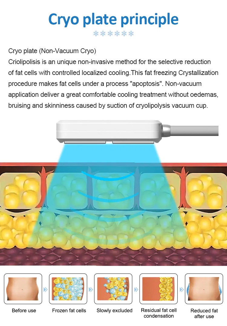 2024 Non-Invasive 6D Lipolaser 635nm 532nm Body Contouring SPA Use Device