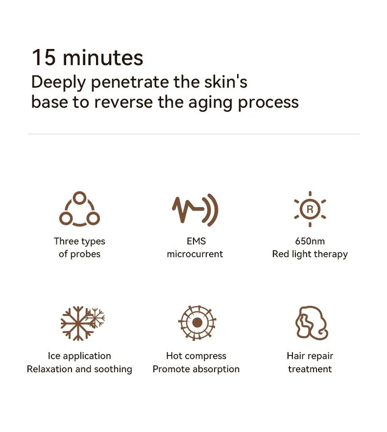 Home Use Beauty Equipment Multifunctional EMS Microcurrent Facial Skin Care Rejuvenation Device