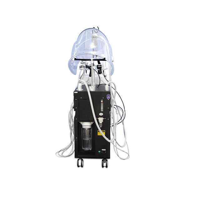 10 IN 1 Hyperbaric Oxygen Facial Machine Oxygen Dome Skin Rejuvenation Deep Cleansing Anti Aging Hydration Salon Beauty Machine