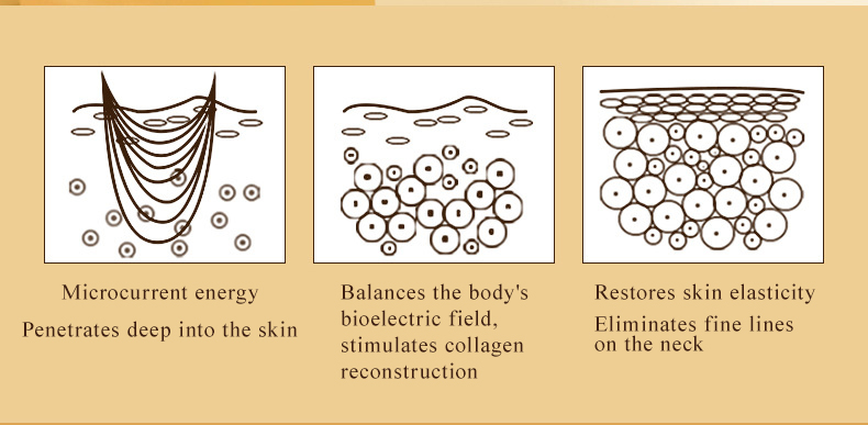 Description Image 6