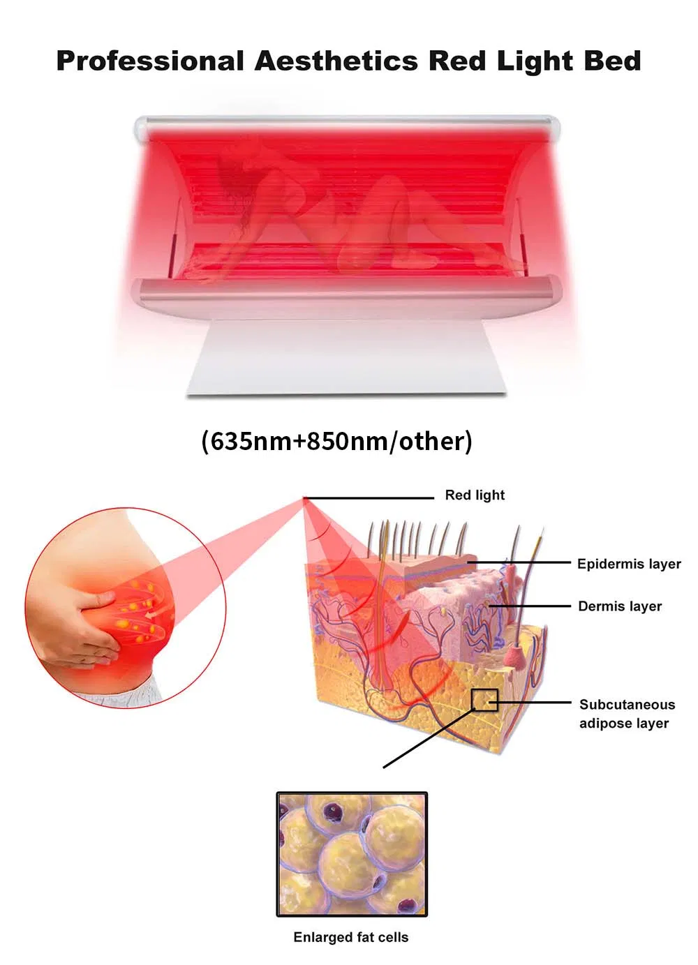 OEM Beauty SPA Wrinkle Remover Acne Treatment PDT Skin Tighten Rejuvenation Device Layout 1