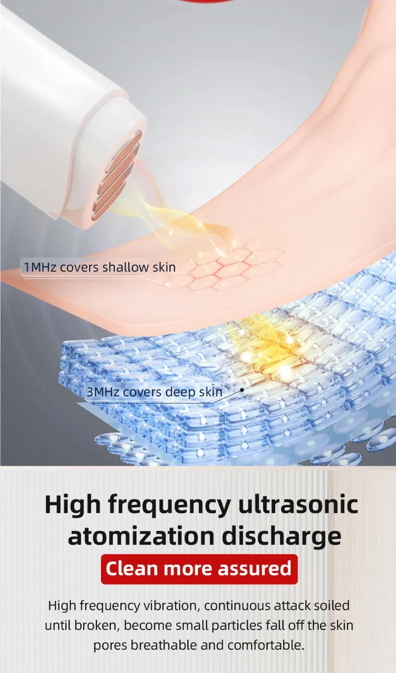 Devices for Face Lifting Cosmetology Wholesale Cosmetology Facial Microcurrent Device Beauty Parlour Equipment Shop Supplies EMS RF Ultrasonic for Facial Beauty