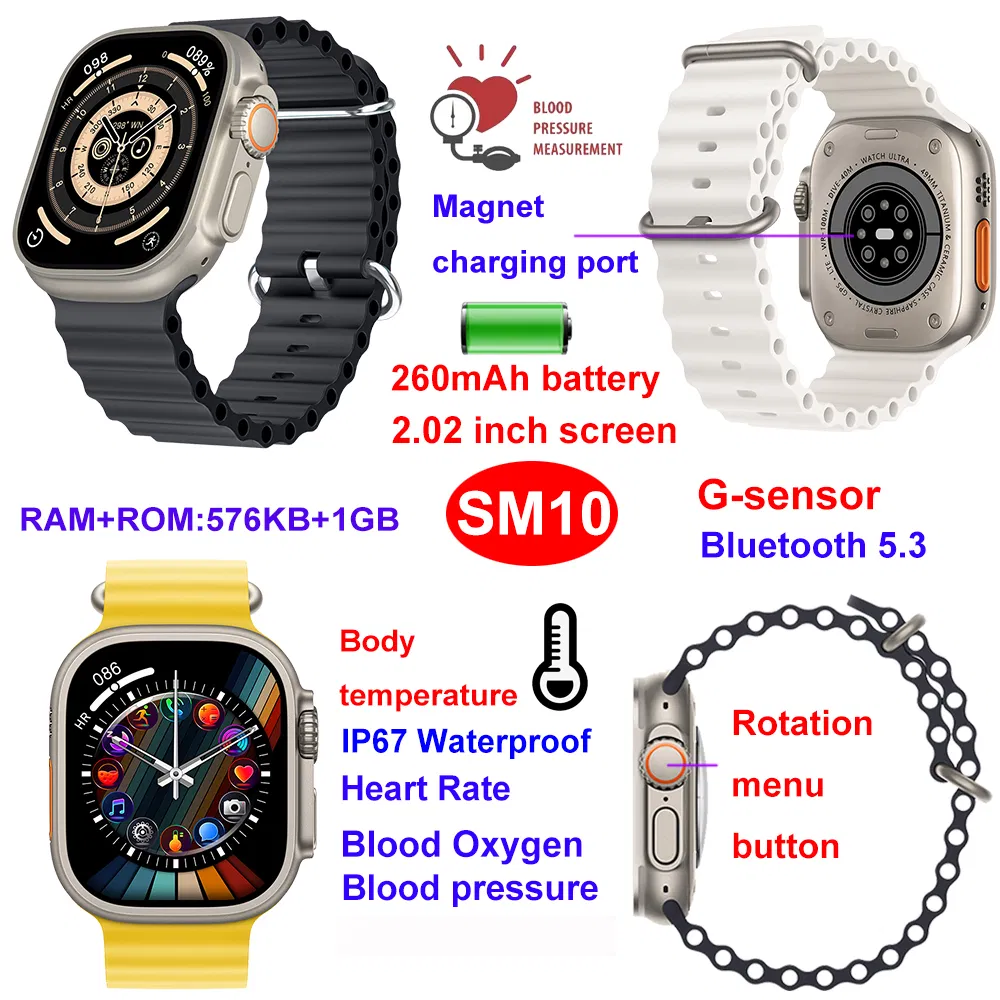 SM10 Detail 9