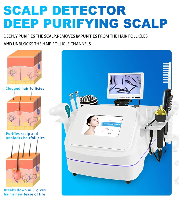 Scalp Examination Display