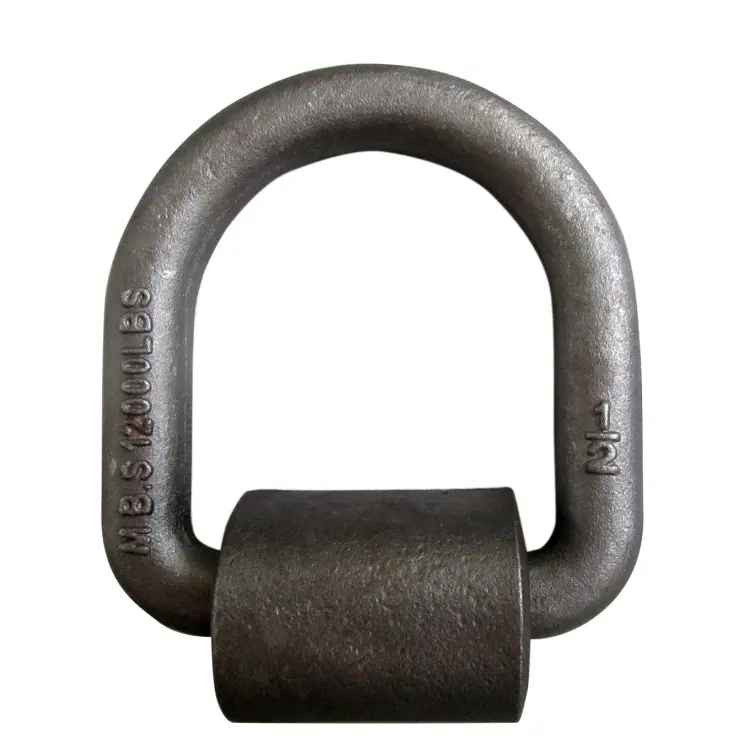 China US Type Self Color Forged D Rings with Wraps Suppliers, Supplier