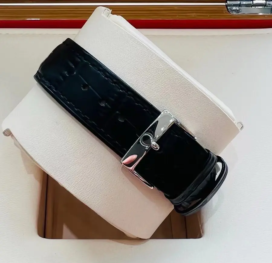 Omega watch button details