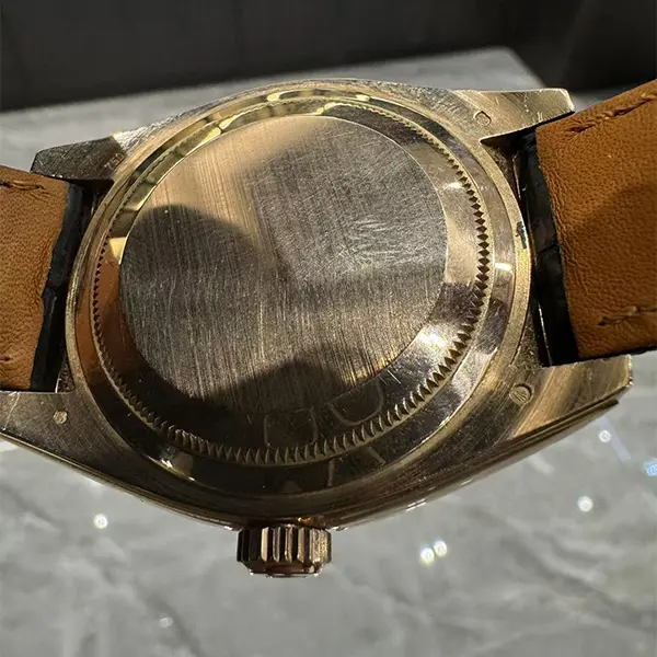 Rolex Sky-Dweller Back View