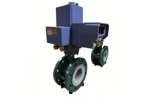 China PTFE-Lined Electric Butterfly Valve Factory, Service