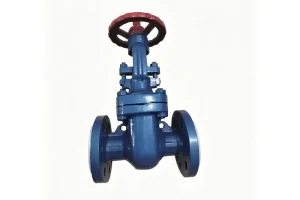 Custom PTFE-Lined Gate Valve Factories, Factory