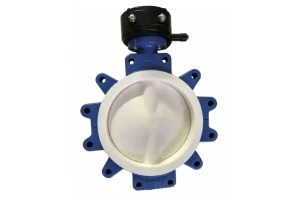 Custom PTFE-Lined Butterfly Valve Factory
