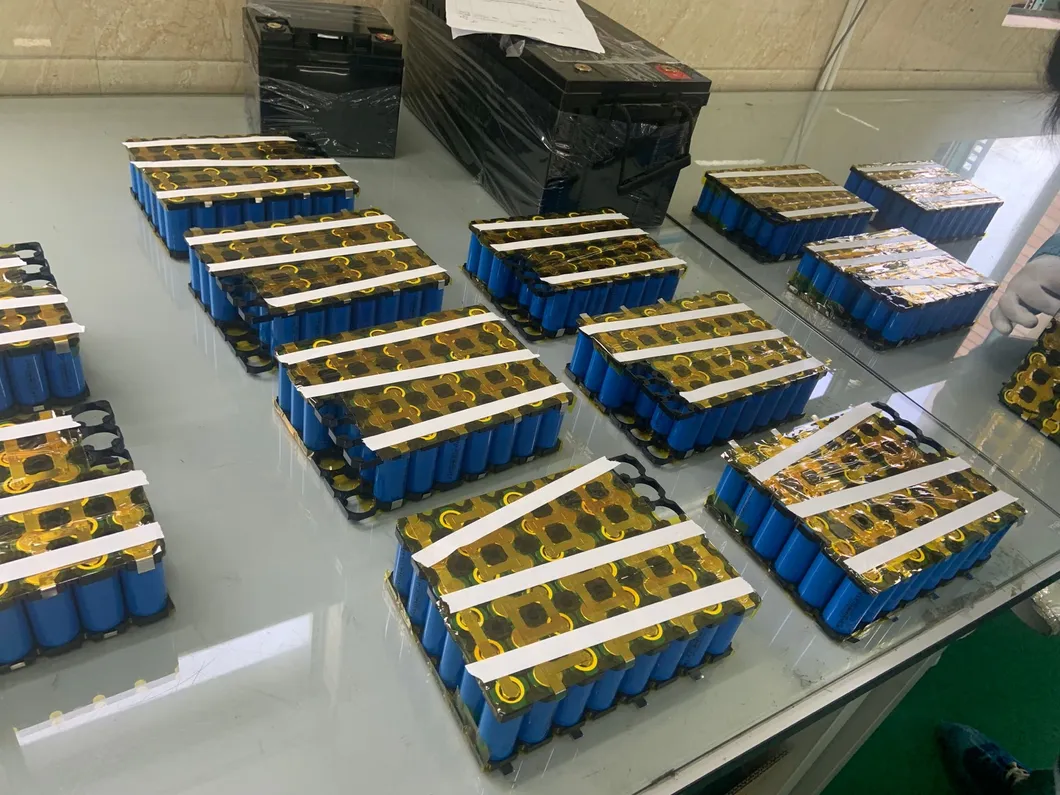 LiFePO4 Battery