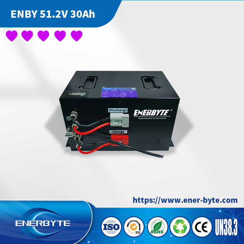 بطارية 48V30ah قابلة لإعادة الشحن ليثيوم أيون لتخزين الطاقة الشمسية DIY LiFePO4 بطارية لسيارات التخييم/عربة الجولف/اليخوت البحرية/المنازل المتنقلة/Agv مع UL