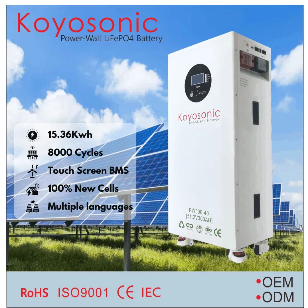 بطارية قابلة لإعادة الشحن 51.2V 300ah LiFePO4 حزمة بطارية 15.36kwh بطارية ليثيوم 15kwh لتخزين الطاقة الشمسية، احتياطي منزلي Powerwall مع RS485/RS232/Can اتصال