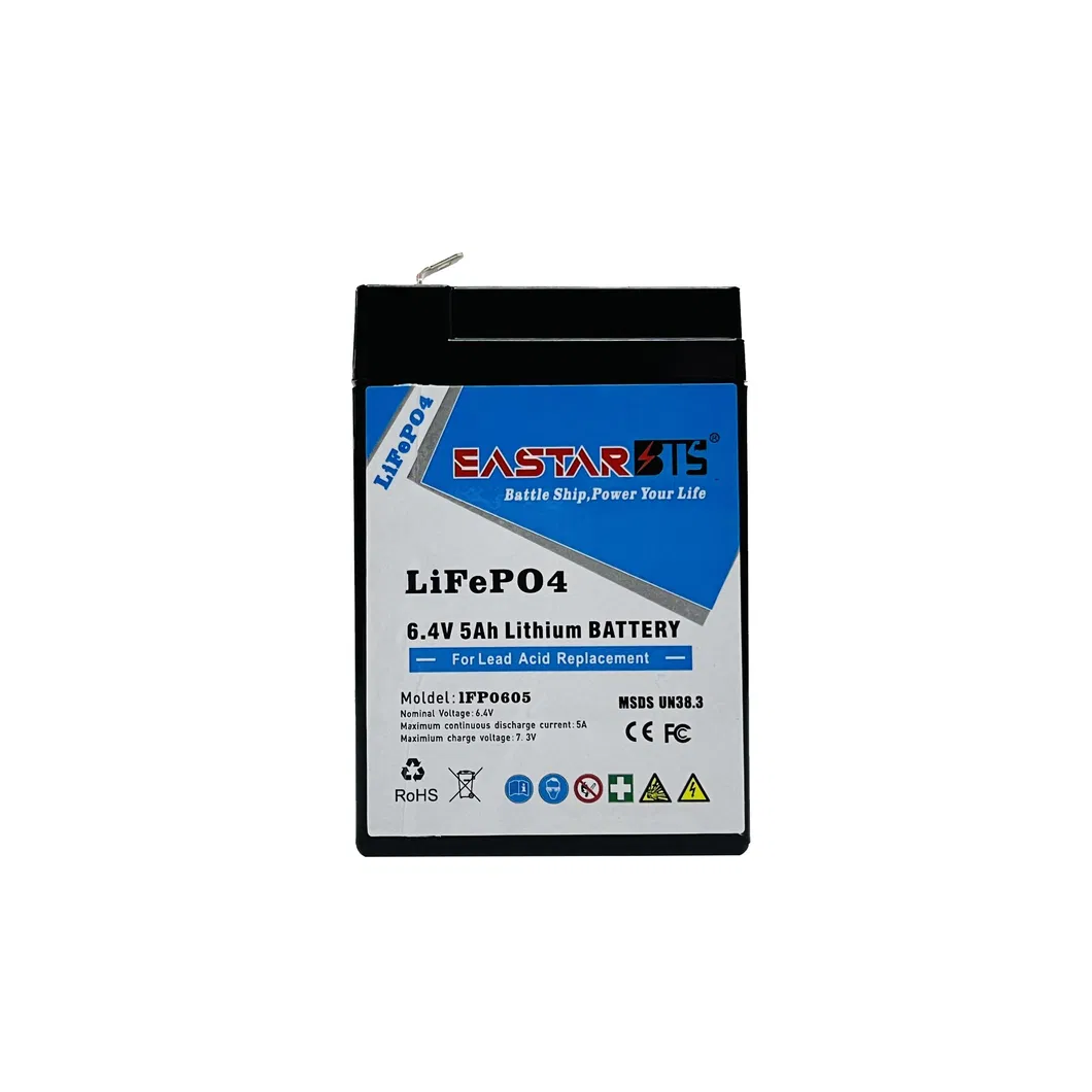 حزمة بطارية LiFePO4