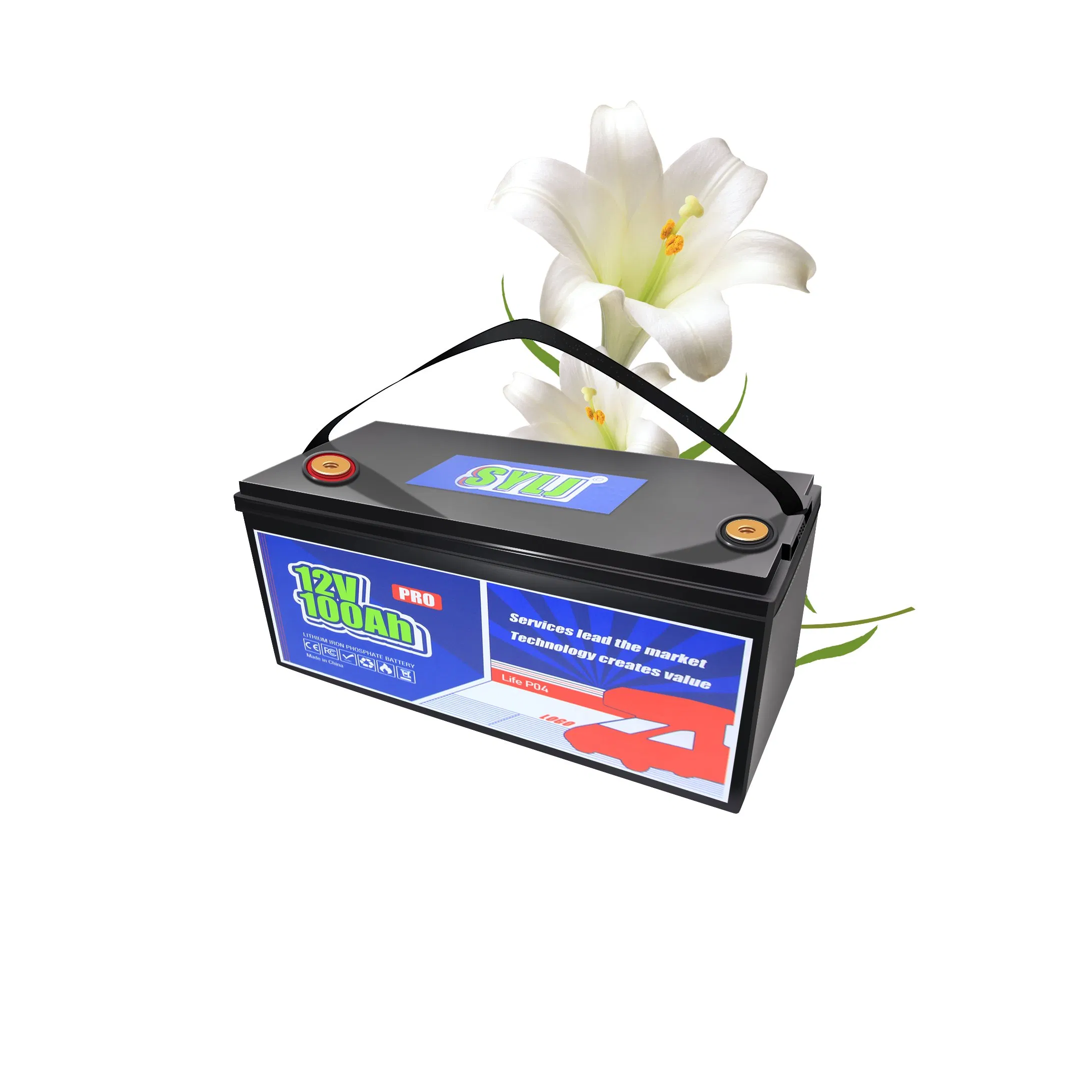 حزمة بطارية ليثيوم أيون عالية السعة 12V للطاقة الخضراء