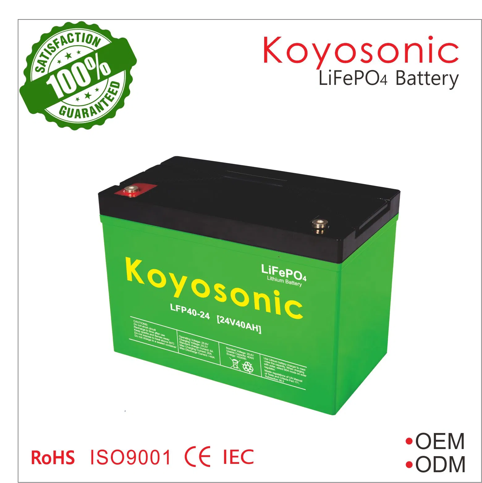 بطارية ليثيوم كويزونك 12V100ah بدء إيقاف لسيارة التخييم / الكارافان
