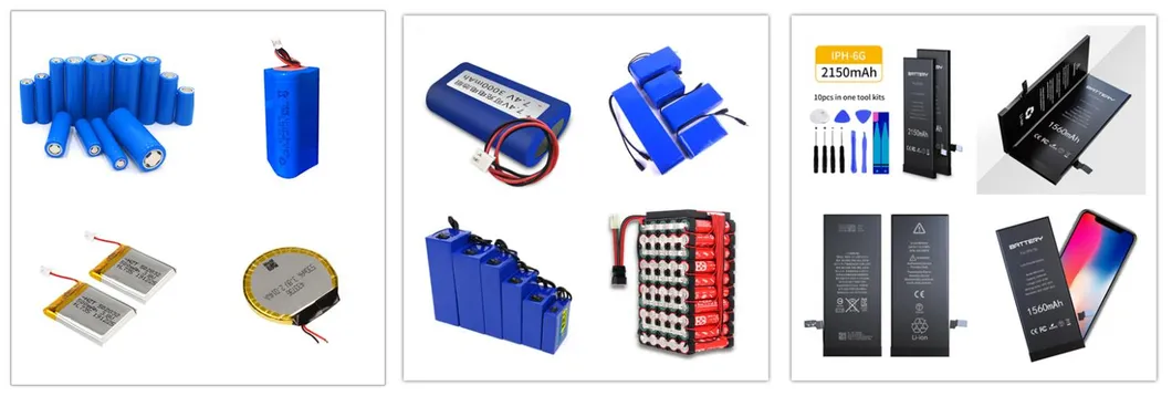 Battery Pack 1