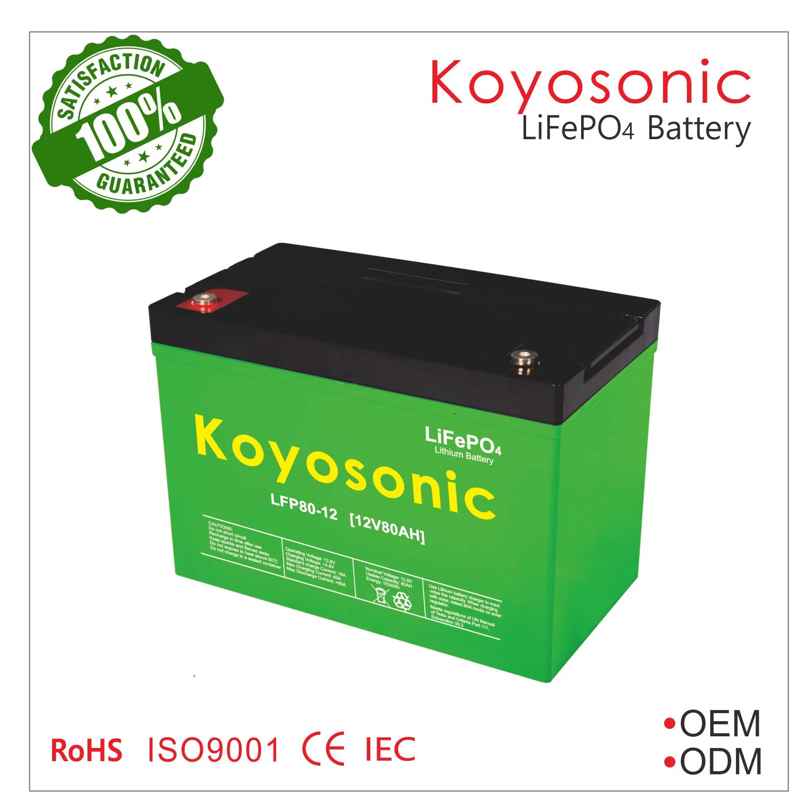 بطارية ليثيوم كويزونك 12V100ah بدء إيقاف لسيارة التخييم / الكارافان