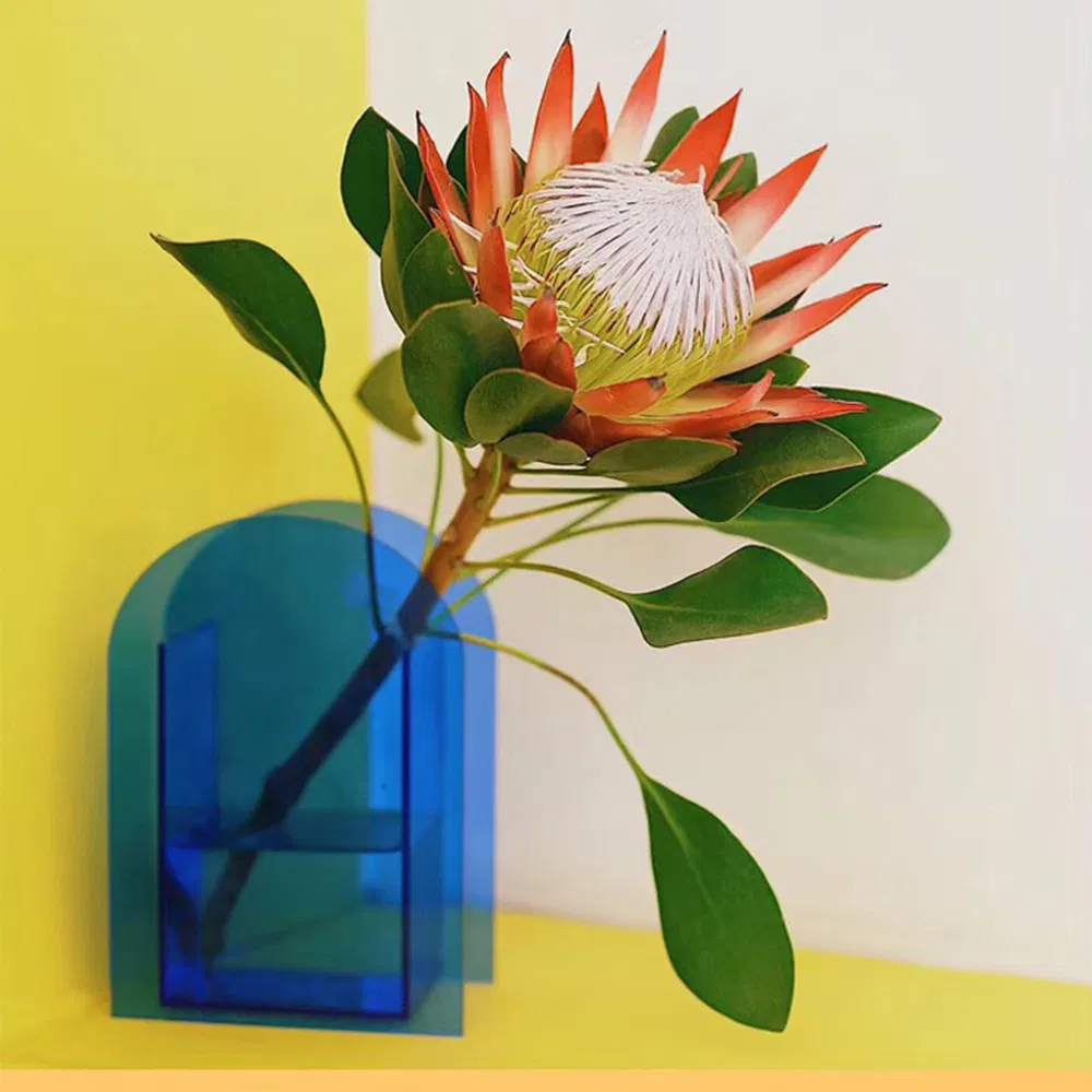 Acrylic Flower Box Vase Clear Blue Tabletop Decorative Art Vase