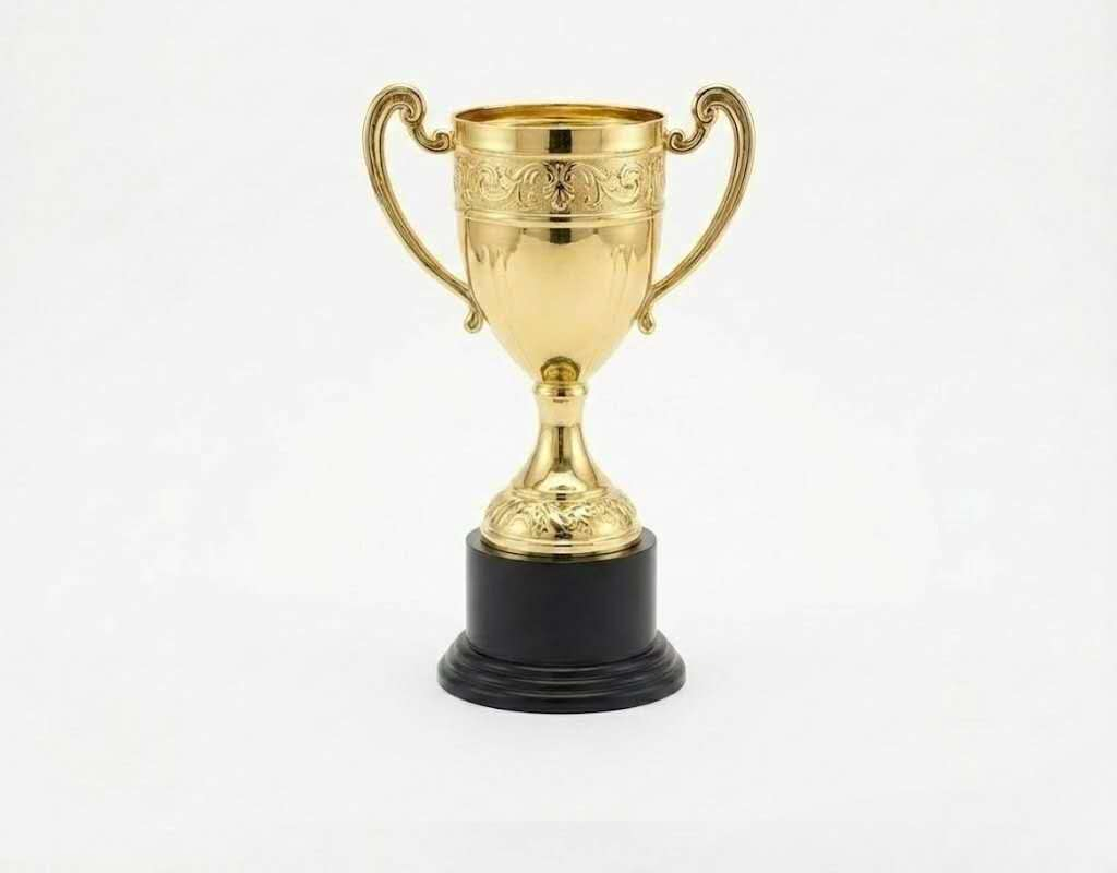 Factory Direct Supply Trophy Customizable Affordable Bulk Wholesale