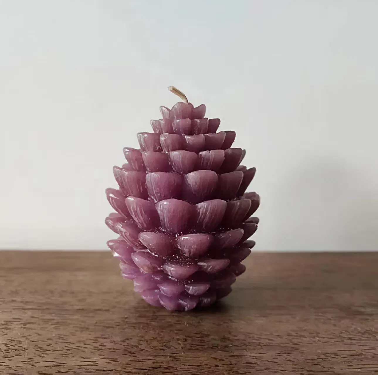 Artisan Pine Cone Candles for Unique Home Decor Wholesale