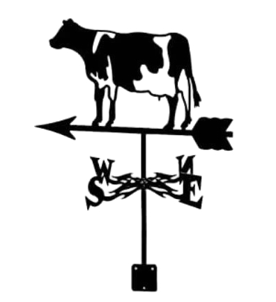 Exclusive Rustic Outdoor Iron Crafts Weathervane with Spray Paint