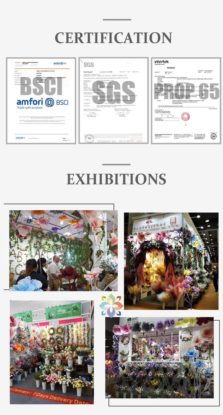 Gnome Product View 5