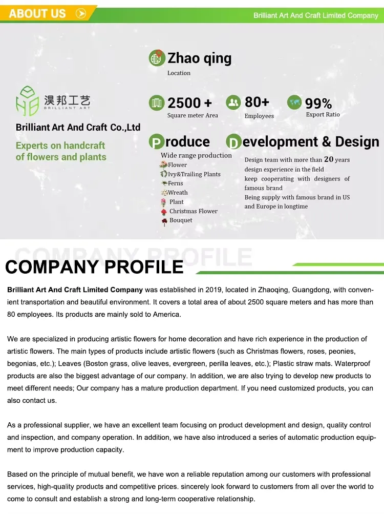 Company Profile 1