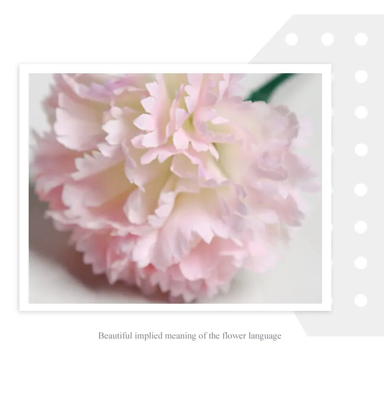 Artificial Carnation 6
