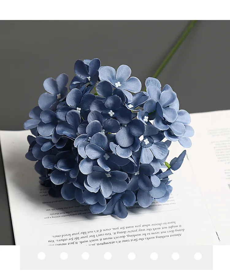 Hydrangea 7