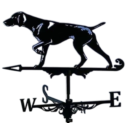 Rustic Iron Weathervane with Exclusive Stainless Steel Finish Crafts