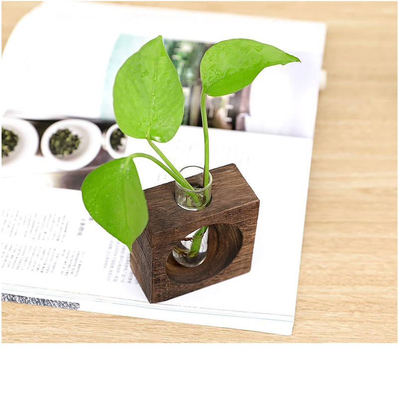 Tabletop Craft Wood Frame Vase Glass Plant Craft