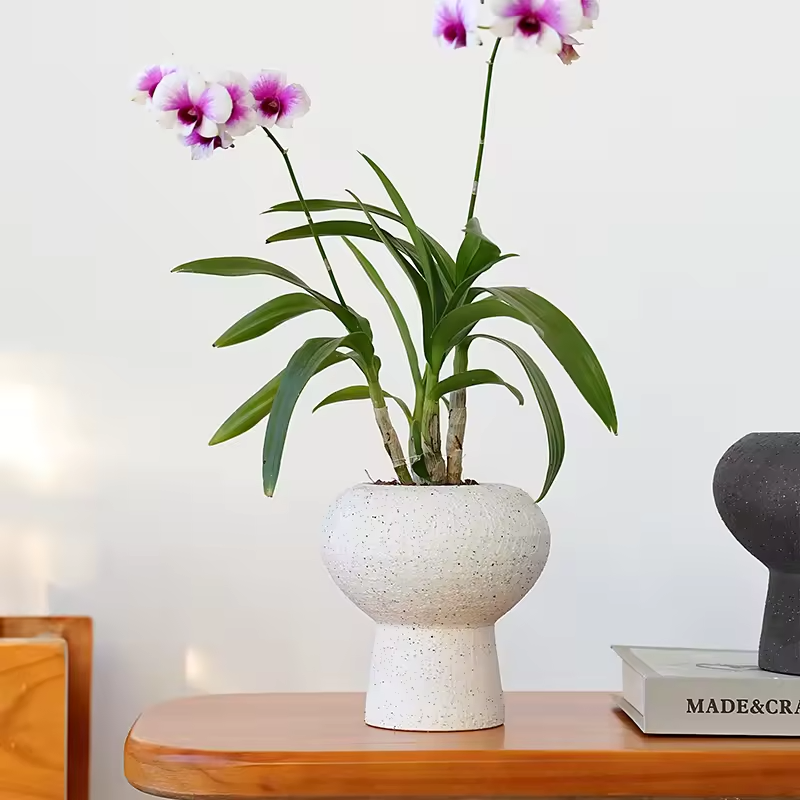 Minimalist Matte Glaze Nordic Boho Decorative Flower Vase Home Decor