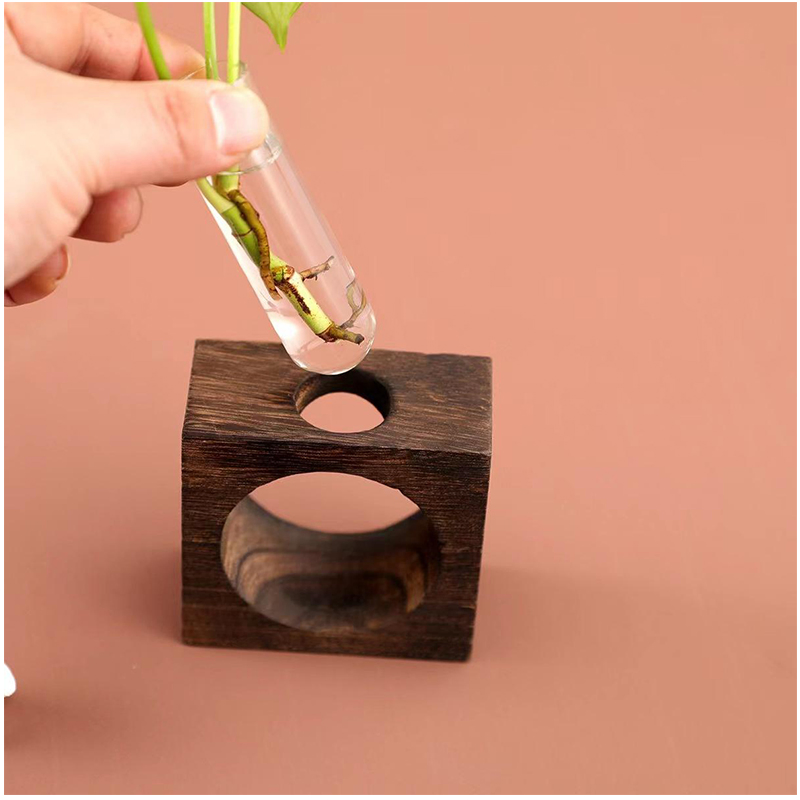 Tabletop Craft Wood Frame Vase Glass Plant Craft