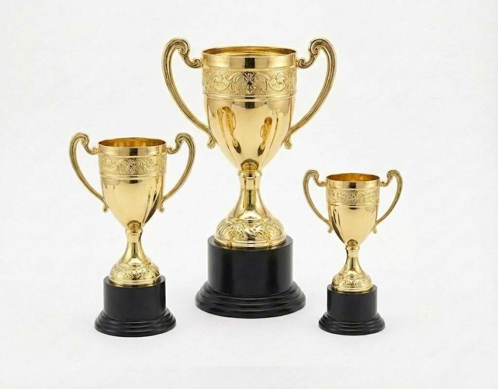 Factory Direct Supply Trophy Customizable Affordable Bulk Wholesale