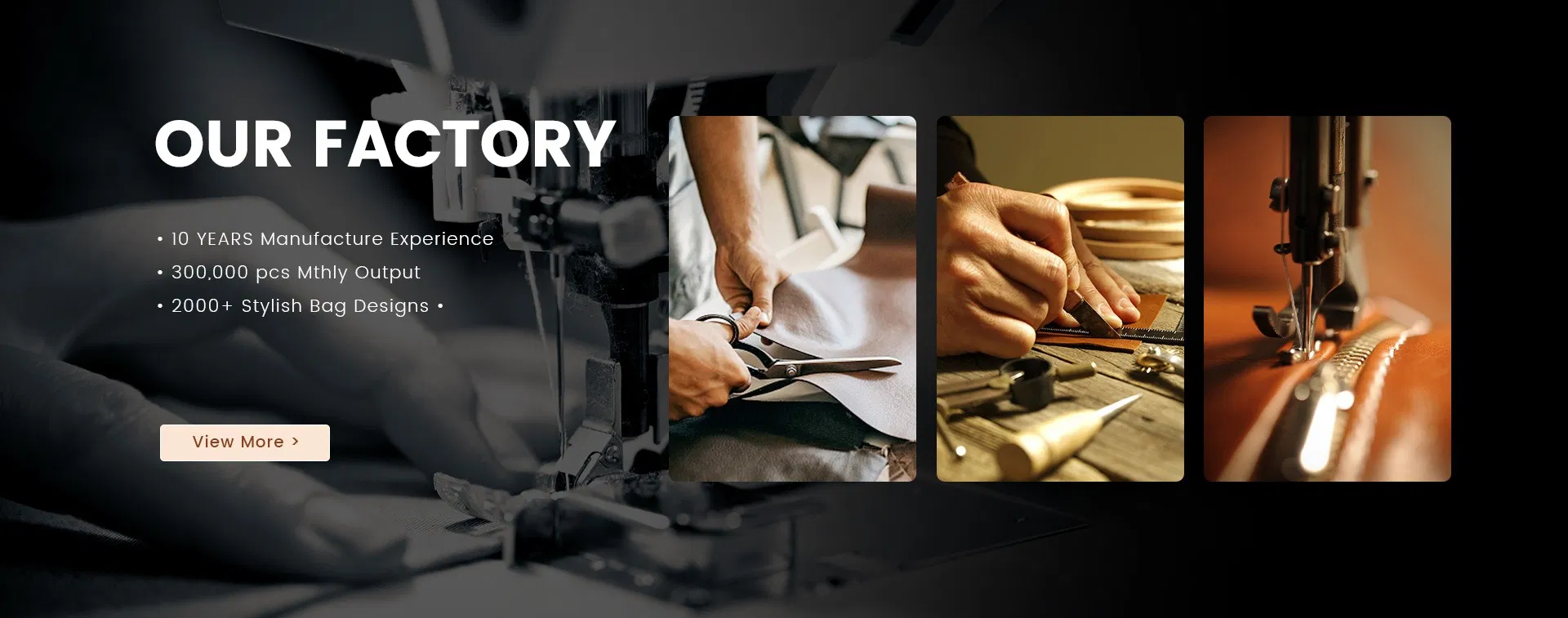 Designer Luxury Bag View 2