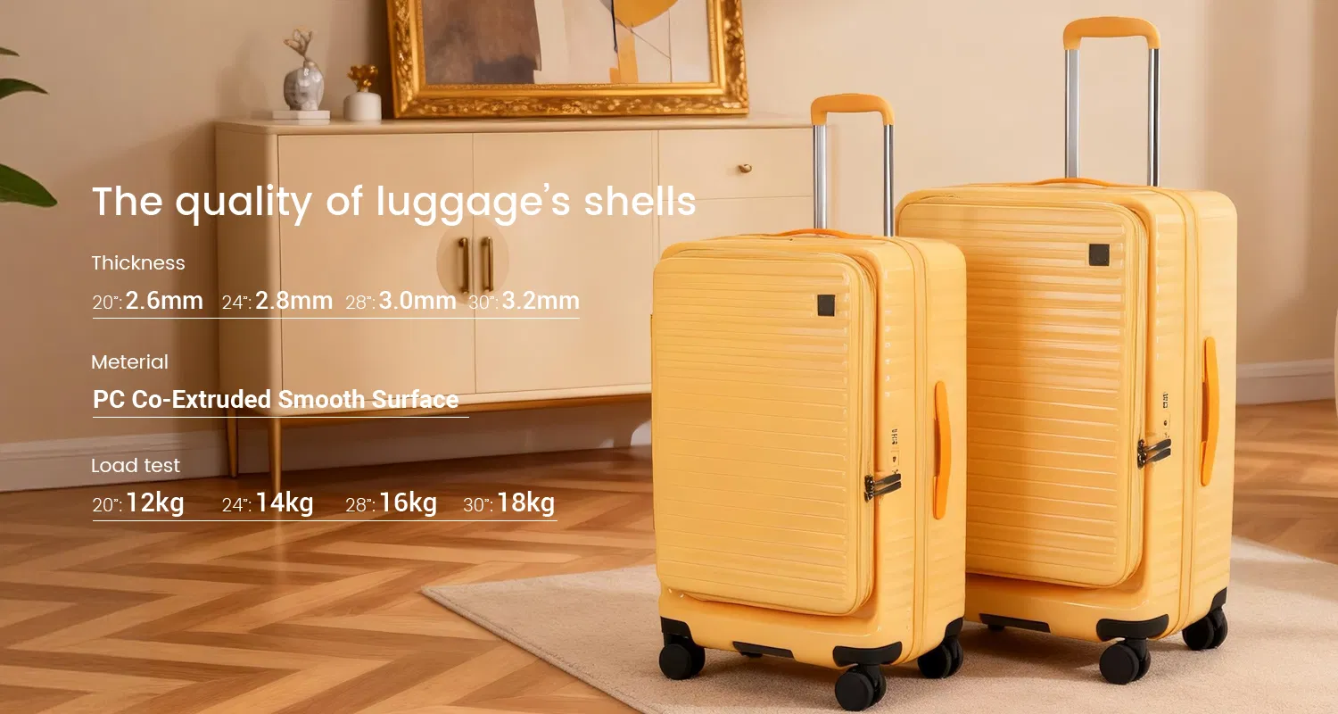 Luggage Detail 6