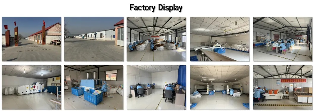 Factory Audit