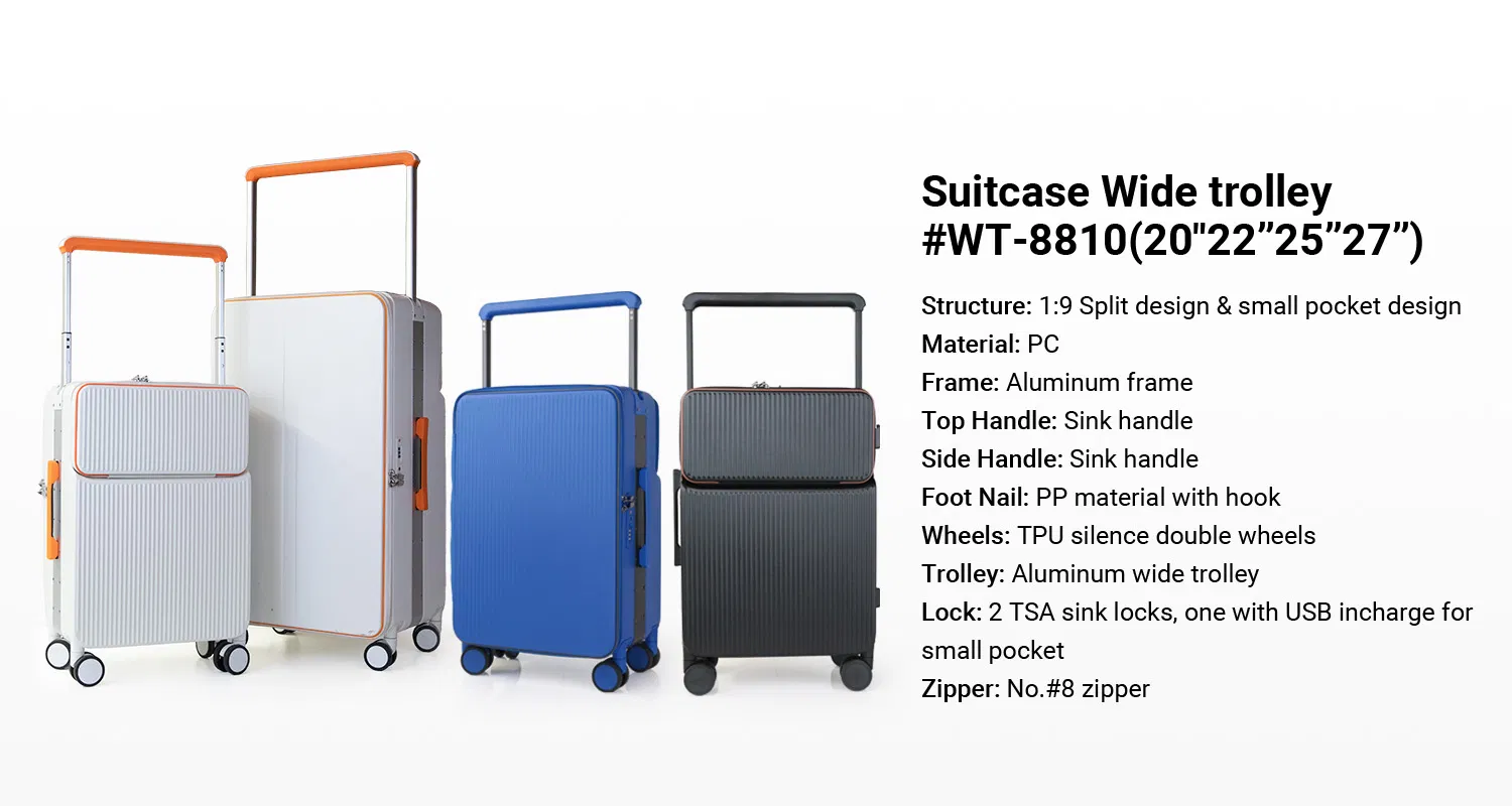 Luggage Details 1