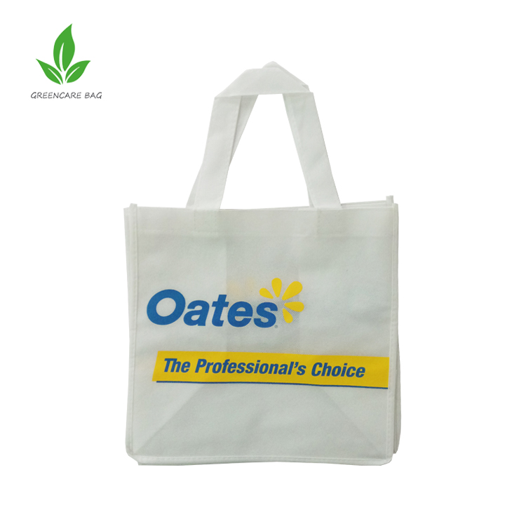 Wholsale Custom Hot Sale 100% Recycled Eco-Friendly PP Non Woven Shopping Bags