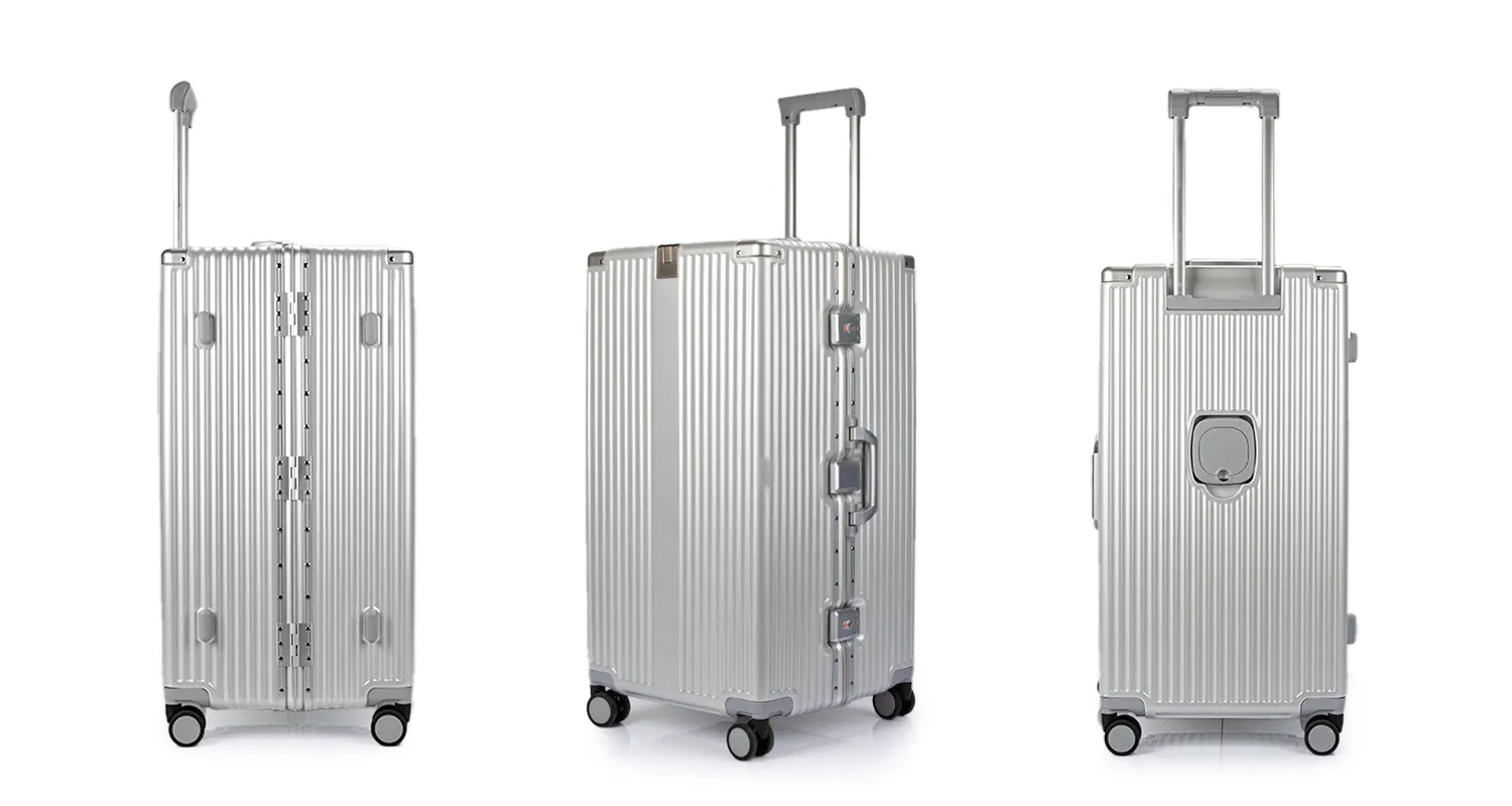 Carry on luggage detail 2