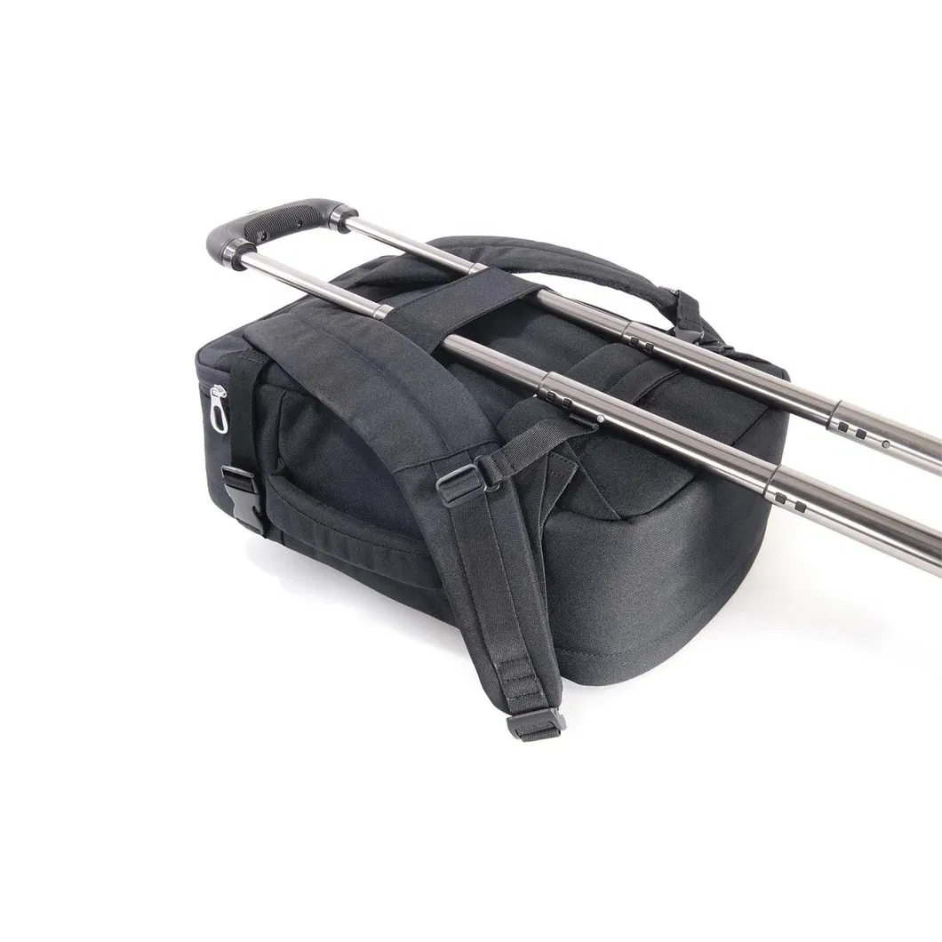 Travel Cabin Backpack Back